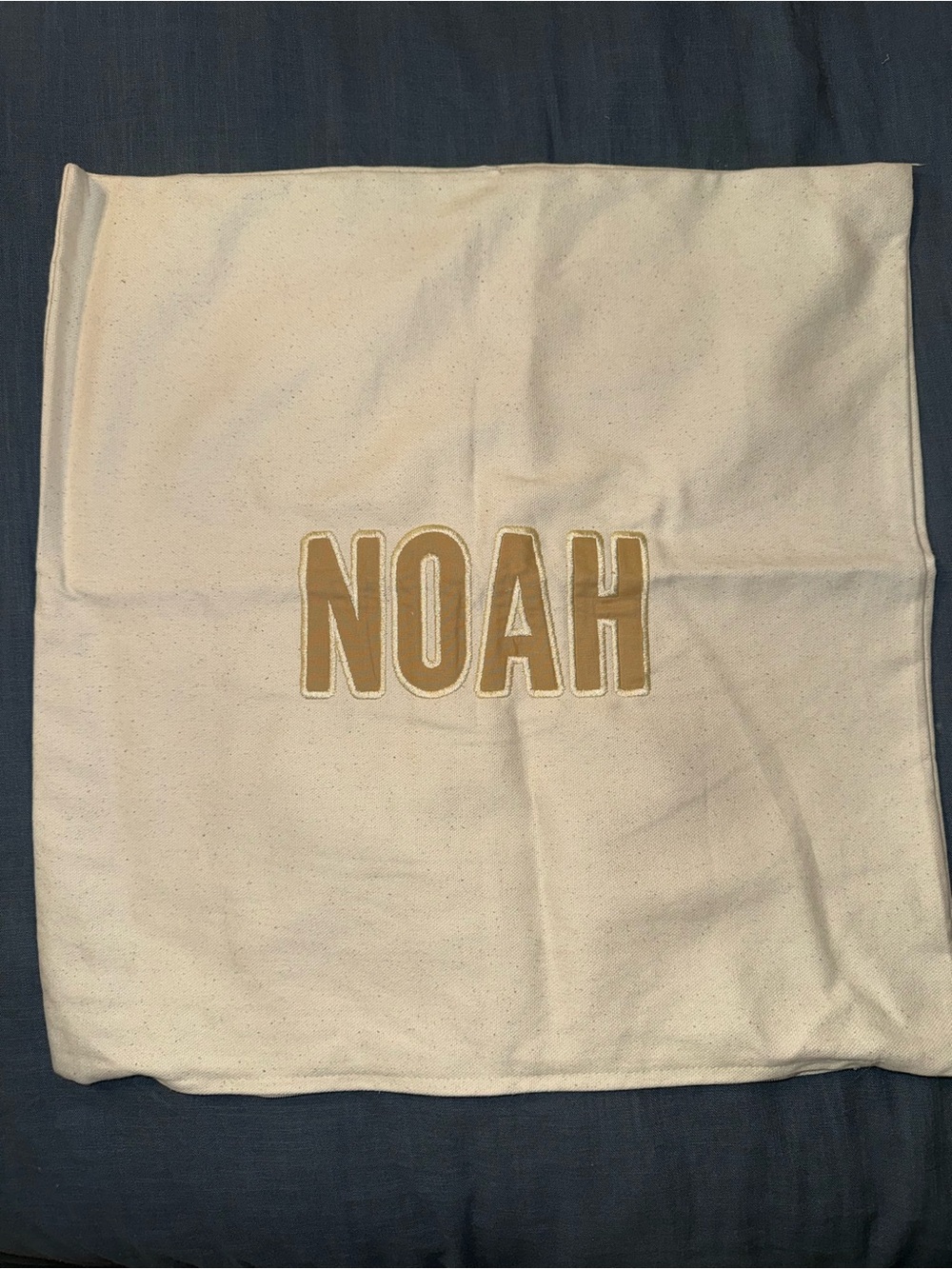 Personalized NOAH Cream Decorative Throw Pillow Cover